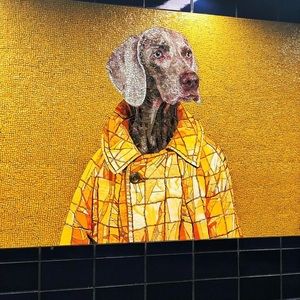 Meet your Posher, Shannon